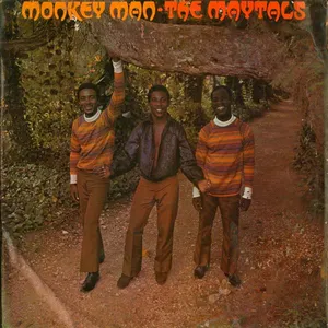 Monkey man